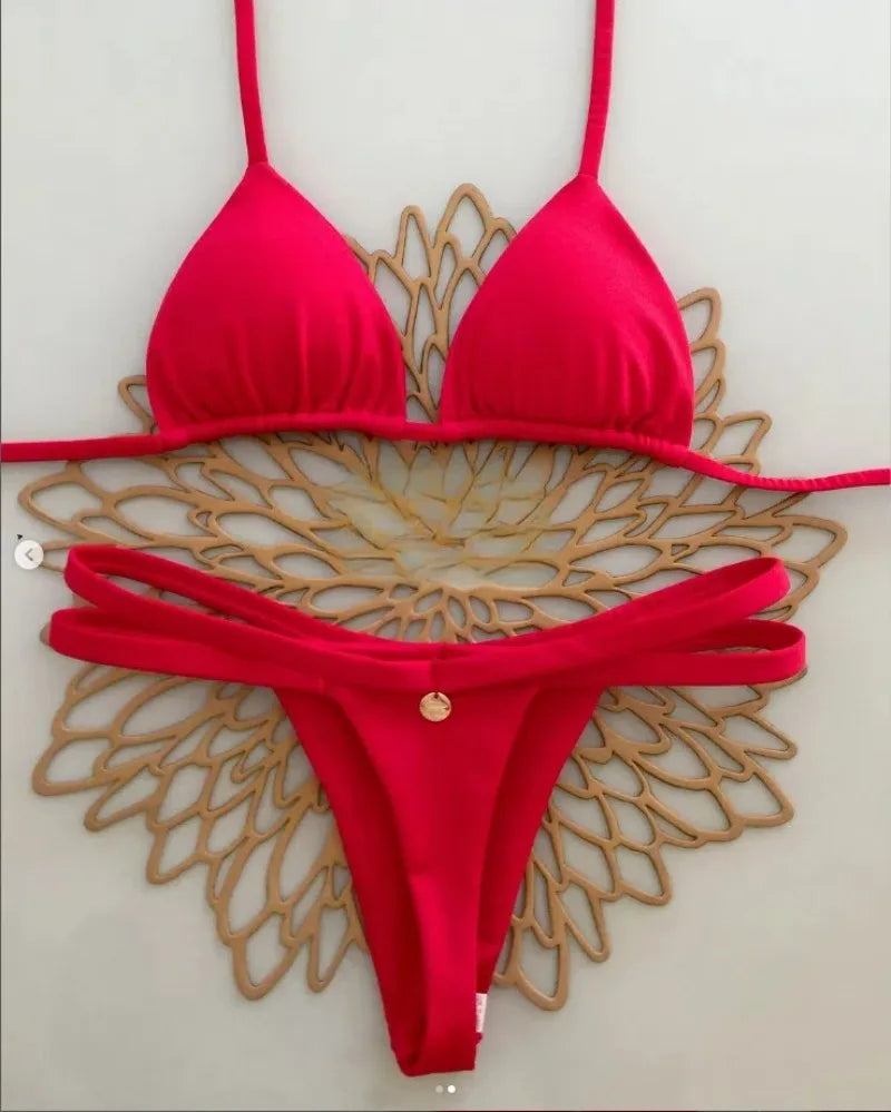 Biquíni sexy de briefs divididos novos, maiô de praia feminino, férias no Brasil